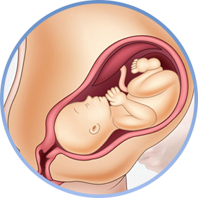 Normal And Cesarean Delivery